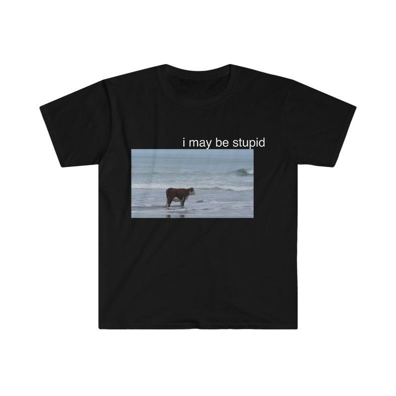 Funny Meme Shirt, I May Be Stupid Cow on Beach Tee, Gift Unisex T-Shirt Hoodie, Sweatshirt | UrbanDripWear.com