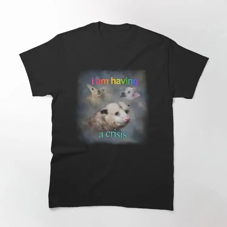 Funny Meme Shirt, I am having a crisis possum word art Classic T-Shirt Casual Fabric Hoodie, Sweatshirt | UrbanDripWear.com