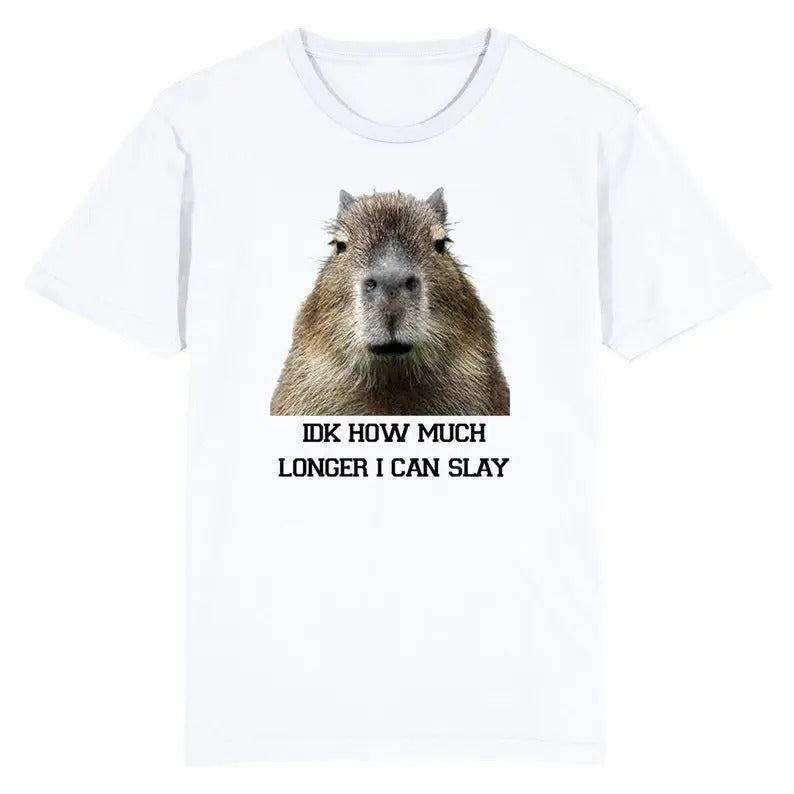 Funny Meme Shirt, IDK How Much Longer I Can Slay Capybara Tee, Gift Unisex T-Shirt Hoodie, Sweatshirt | UrbanDripWear.com