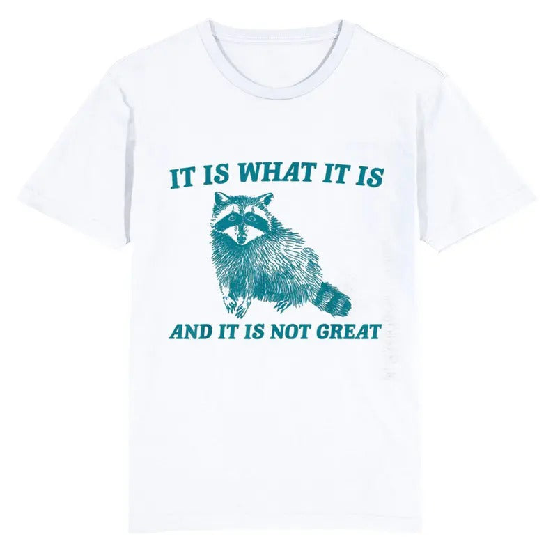 Funny Meme Shirt, It Is What It Is And It Is Not Great Racoon Tee, Minimalistic Gift Unisex T-Shirt Hoodie, Sweatshirt