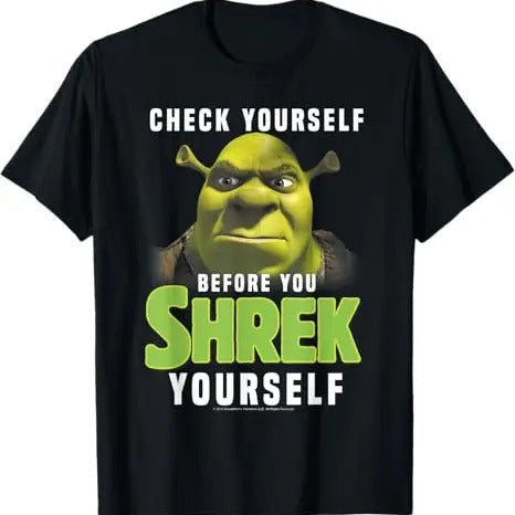 Funny Meme Shirt, Shrek Check Yourself Before You Shrek Yourself Tee, Gift Unisex T-Shirt Hoodie, Sweatshirt