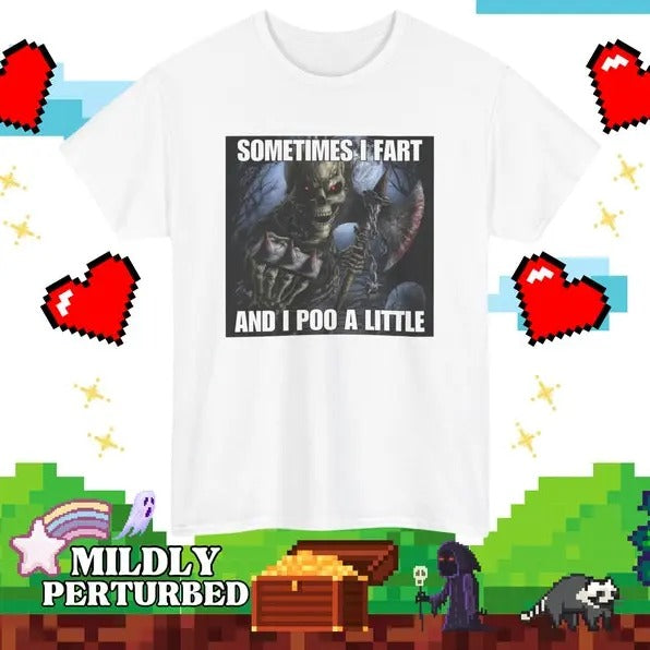 Funny Meme Shirt, Sometimes I Fart And I Poo Little Tee, Gift Unisex T-Shirt Hoodie, Sweatshirt | UrbanDripWear.com