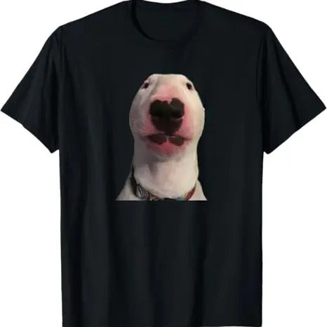 Funny Meme Shirt, Walter dog Tee, Gift Unisex T-Shirt Hoodie, Sweatshirt | UrbanDripWear.com