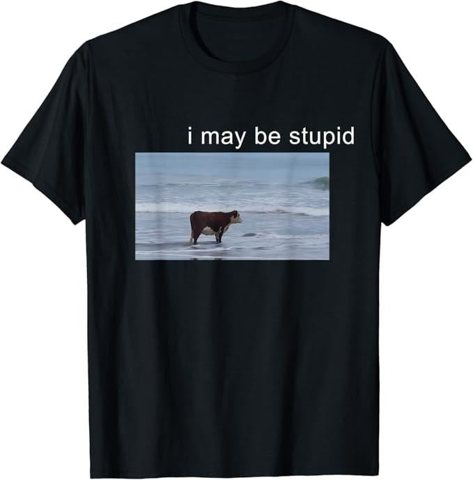 Funny Meme Shirts For Men, I May Be Stupid Funny T-Shirt Menswear Top Hoodie, Sweatshirt | UrbanDripWear.com