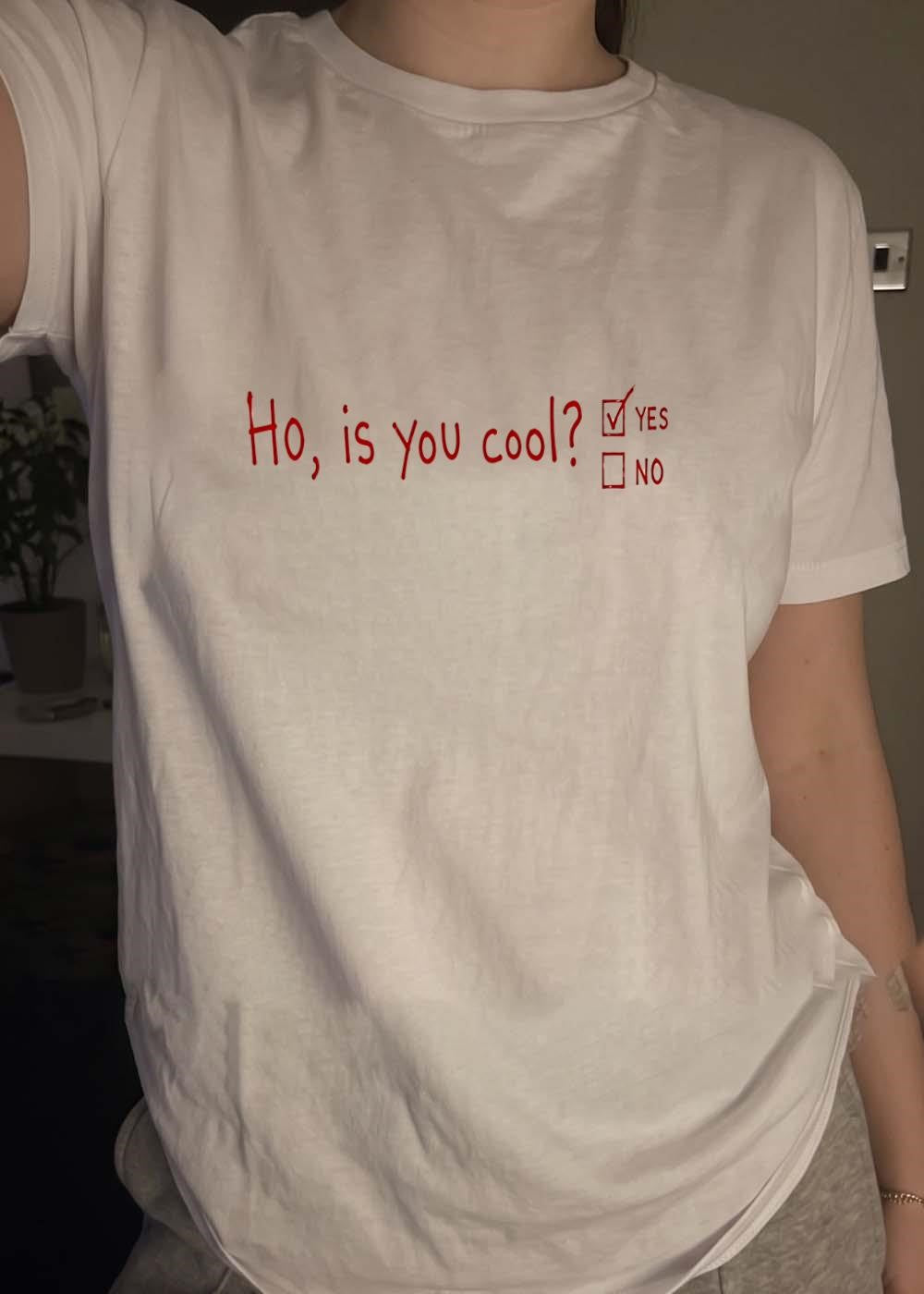 Ho is You Cool Question Checkbox Graphic Unisex T-Shirt