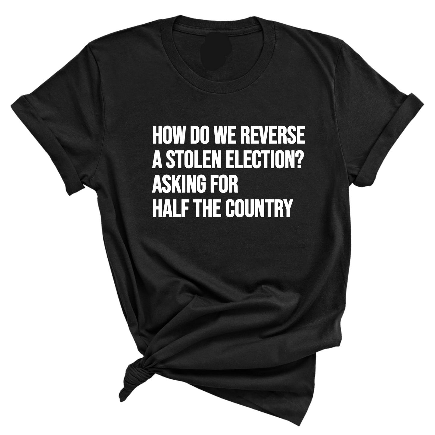 How Do We Reverse a Stolen Election? Asking for Half the Country Unisex Tee