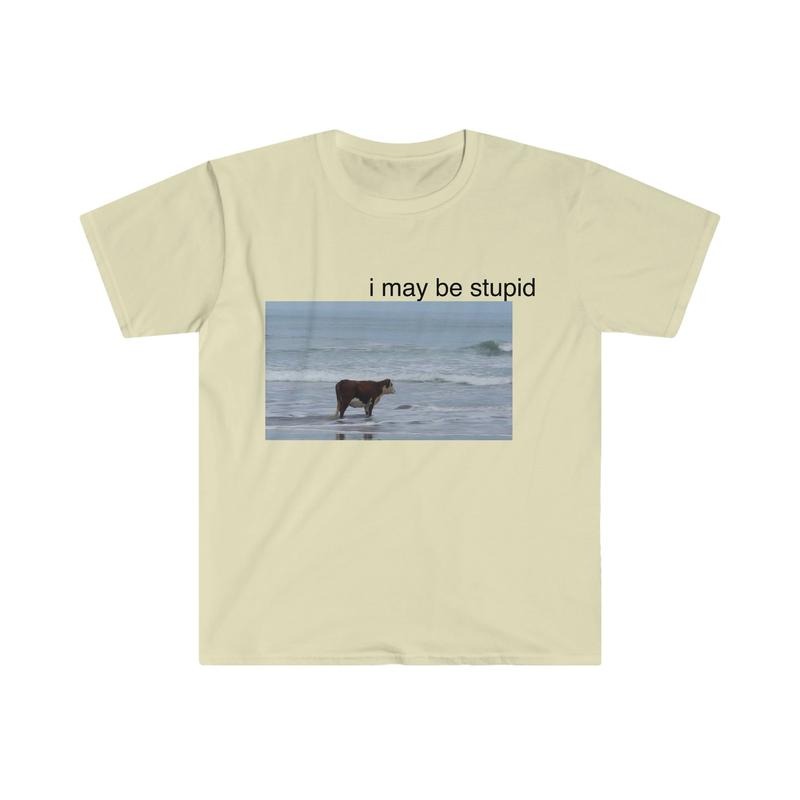 I May Be Stupid Cow On Beach Funny Meme Tshirt  sweater Hoodie, Sweatshirt | UrbanDripWear.com