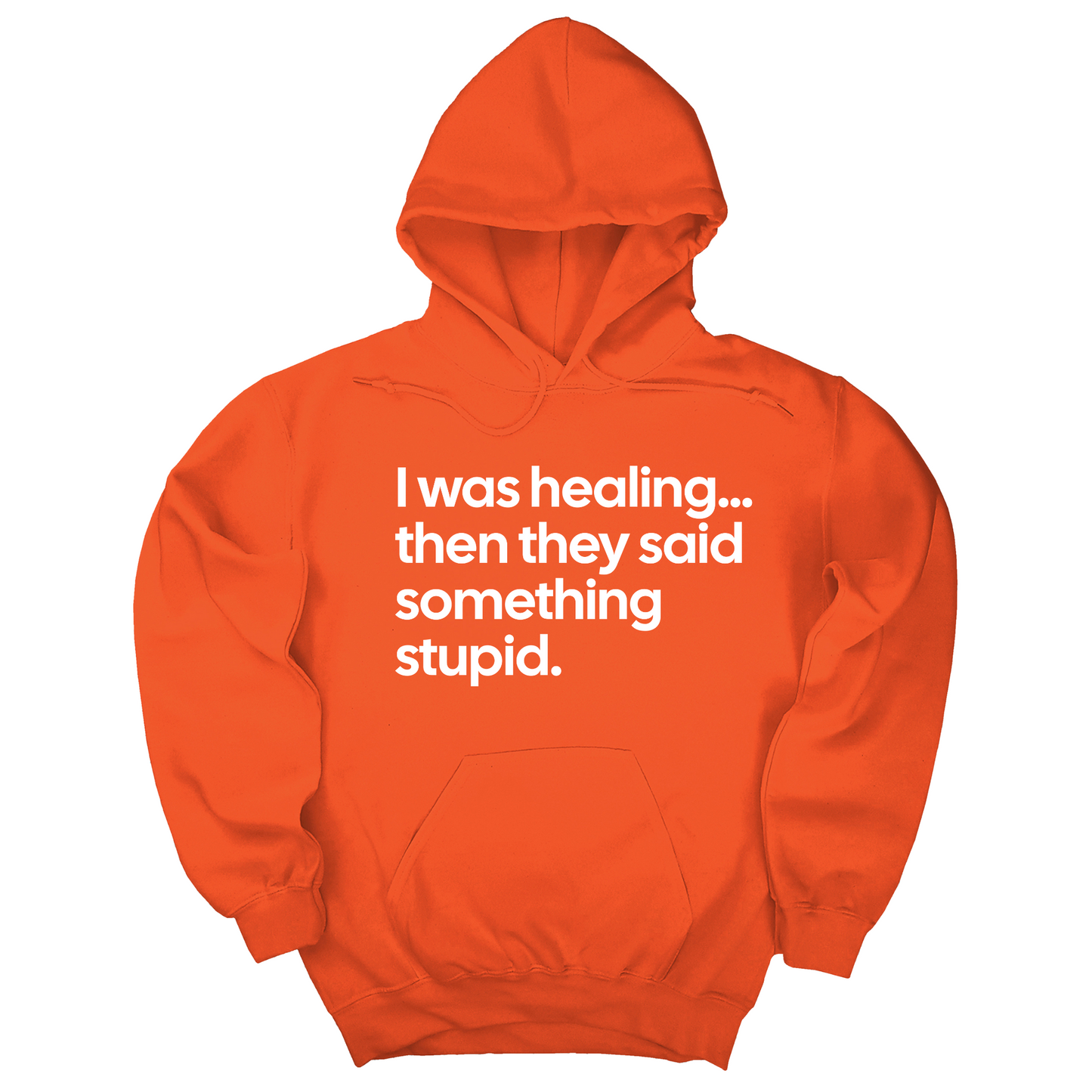 I Was Healing. Then They Said Something Stupid Unisex Hoodie