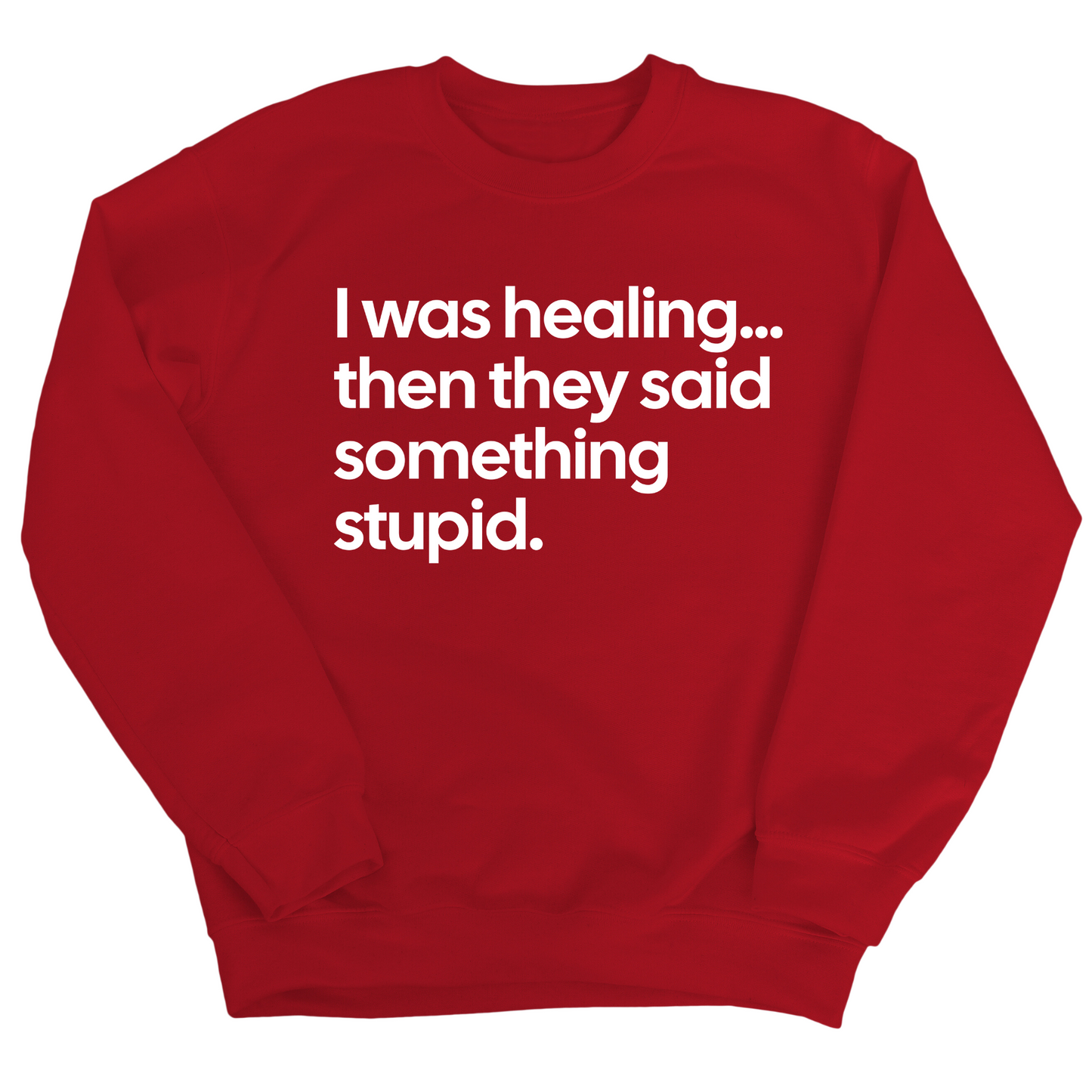 I Was Healing. Then They Said Something Stupid Unisex Sweatshirt