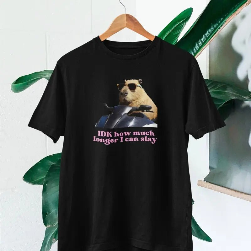 IDK How much longer I can slay T-shirt | Slay T-shirt | Funny top | TikTok fans Hoodie, Sweatshirt | UrbanDripWear.com