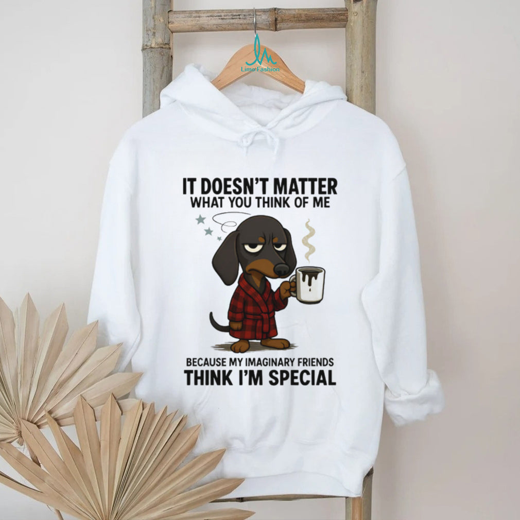 “Imaginary Friends Think I’m Special” Grumpy Dachshund Coffee T Shirt