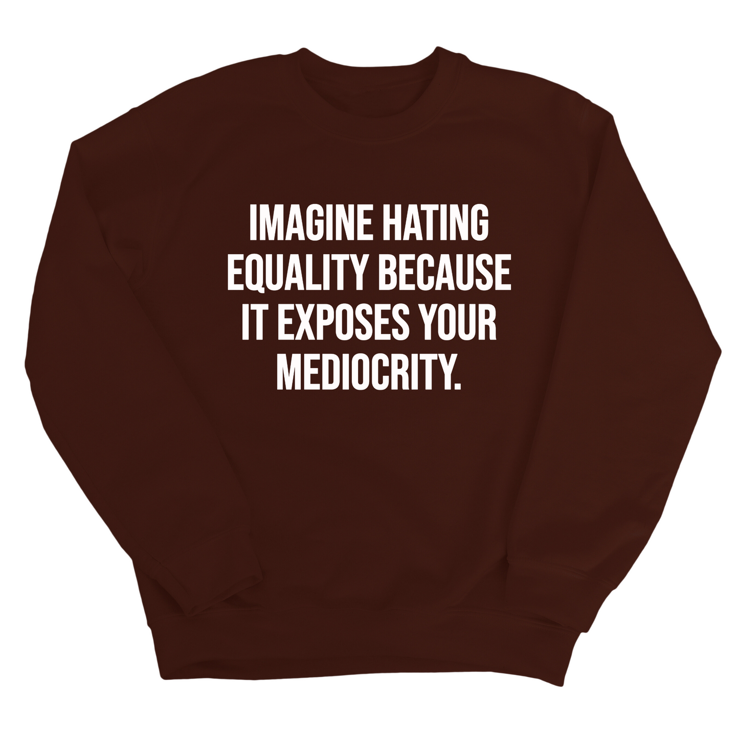 Imagine Hating Equality Because It Exposes Your Mediocrity Unisex Sweatshirt