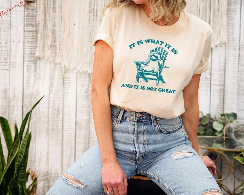 It Is What It Is And It Is Not Great Shirt, Raccoon Meme Shirt Hoodie, Sweatshirt | UrbanDripWear.com