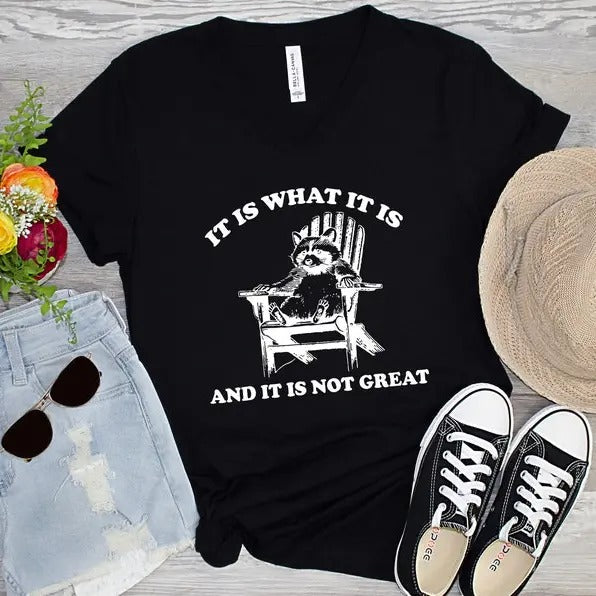 It Is What It Is And It Is Not Great Shirt, Raccoon Meme Shirt, Funny Shirt, Mental Health Shirt, Animal Gift Hoodie,...