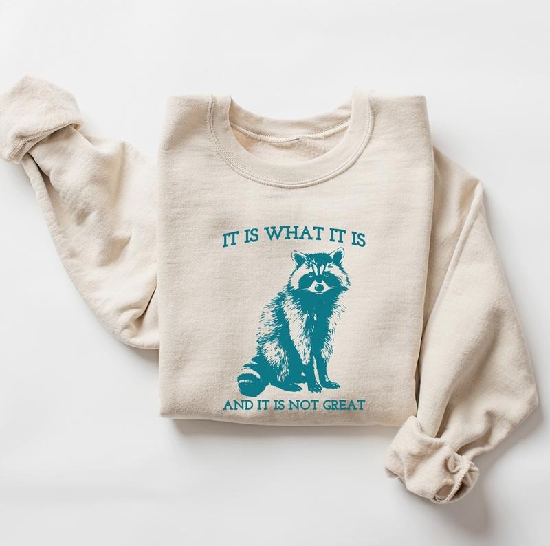 It Is What It Is And It Is Not Great Sweatshirt, Vintage Sweatshirt, Raccoon Sweatshirt, Mental Health Shirt, Trendy Meme...