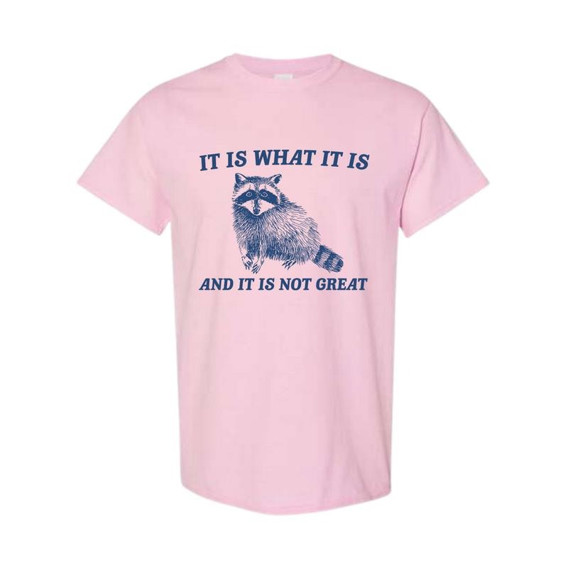 It Is What It Is And It Is Not Great T-Shirt, Vintage Raccoon T-Shirt, Full Color, For Her, For Him, Full Color, Full...