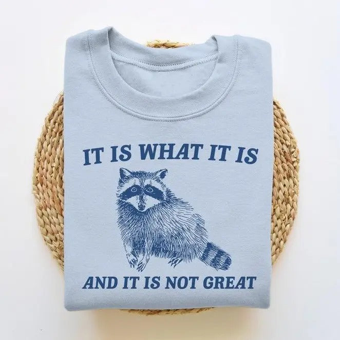 It Is What It Is And It Is Not Great, Funny Sweatshirt T-Shirts, Hoodie | UrbanDripWear.com