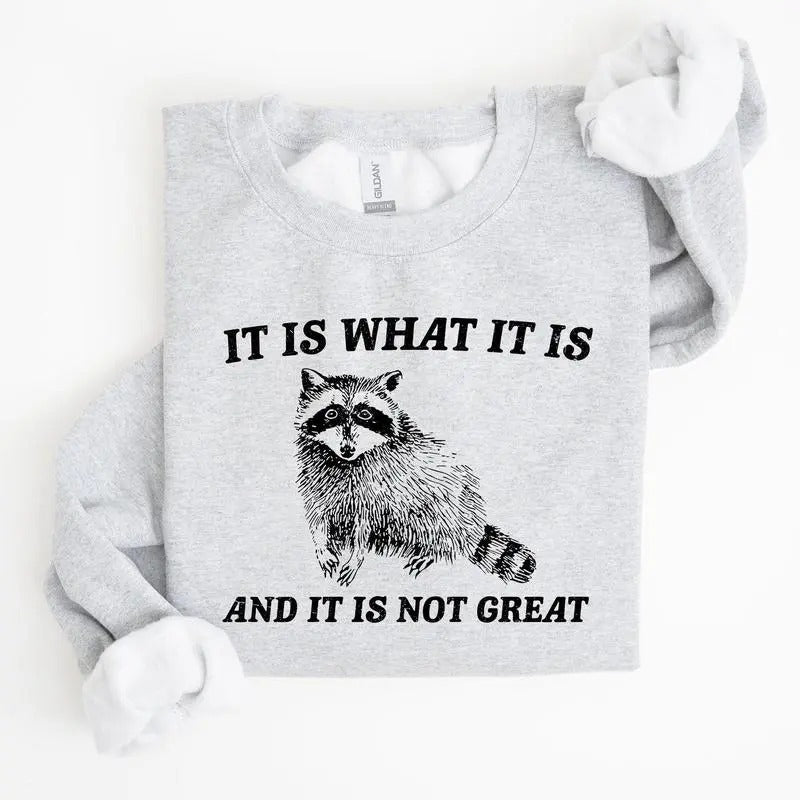 It Is What It Is And It Is Not Great, Raccoon, Funny, Aesthetic Sweatshirt Casual Cotton T-Shirts, Hoodie | UrbanDripWear.com