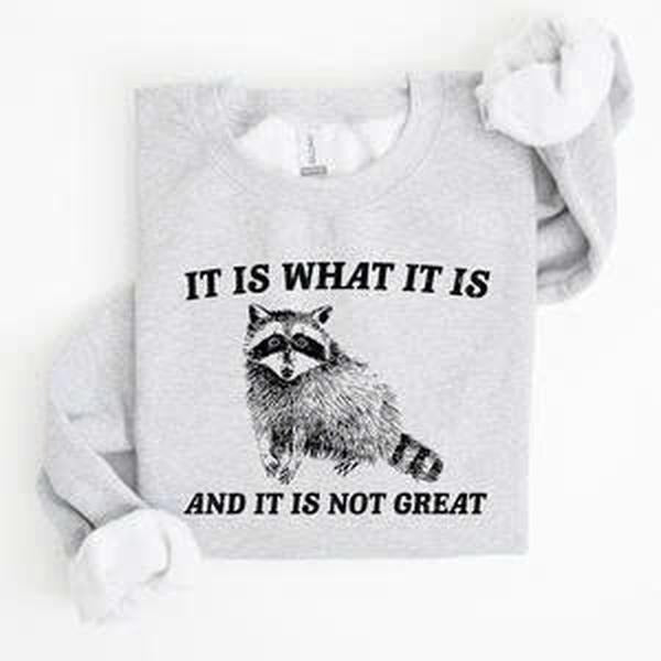 It Is What It Is And It Is Not Great, Raccoon, Funny, Aesthetic Sweatshirt T-Shirts, Hoodie | UrbanDripWear.com