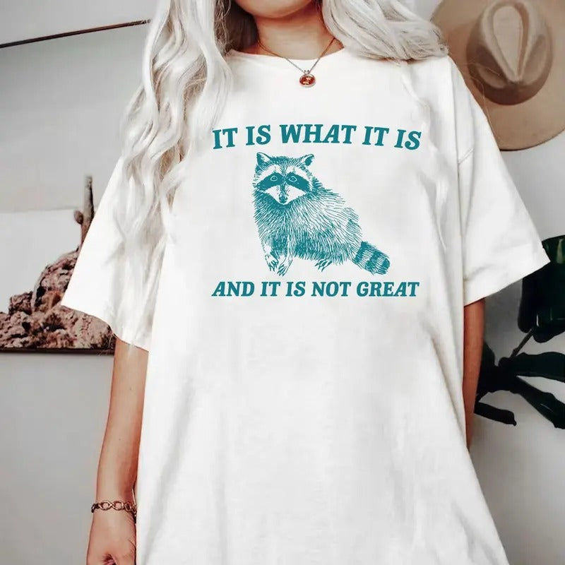 It is What It is and It is Not Great Shirt, Vintage Comfort Colors Shirt, Raccoon Meme Shirt, Funny Trash Panda Shirt,...