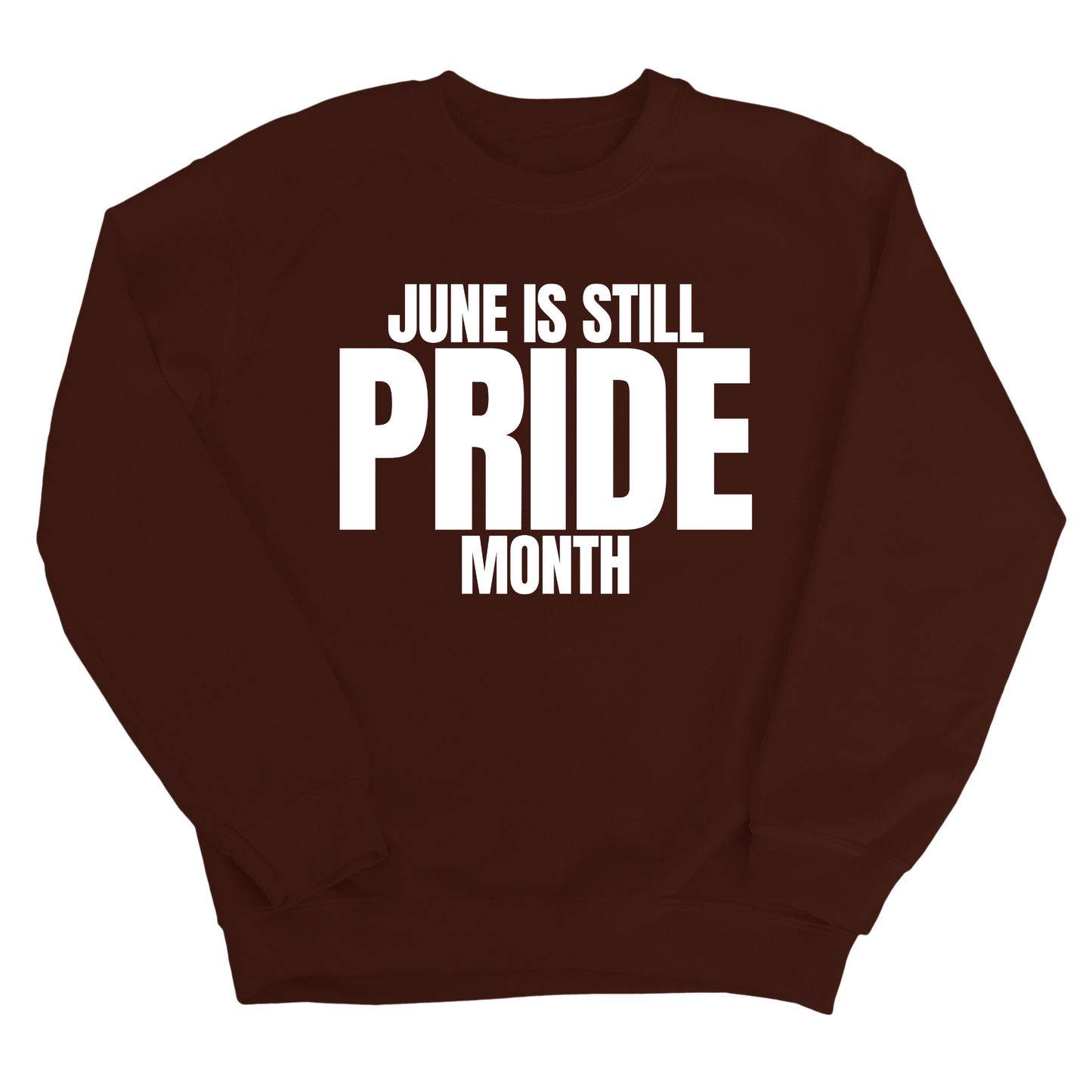 June is Still Pride Month Unisex Sweatshirt
