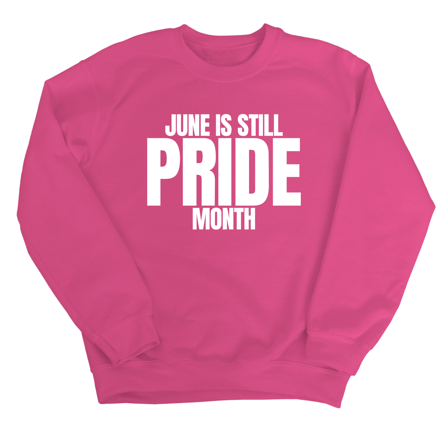 June is Still Pride Month Unisex Sweatshirt