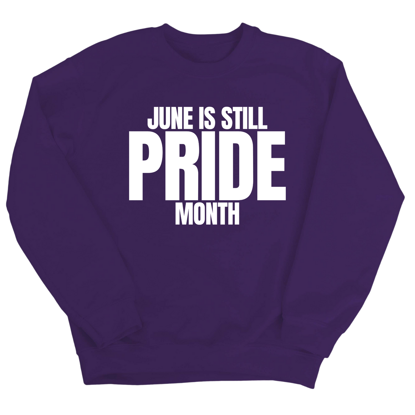 June is Still Pride Month Unisex Sweatshirt
