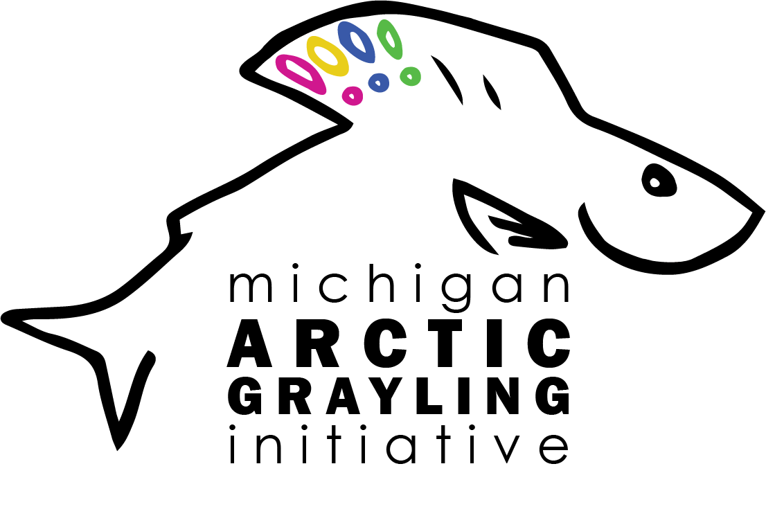 MICHIGAN GRAYLING (UNISEX)