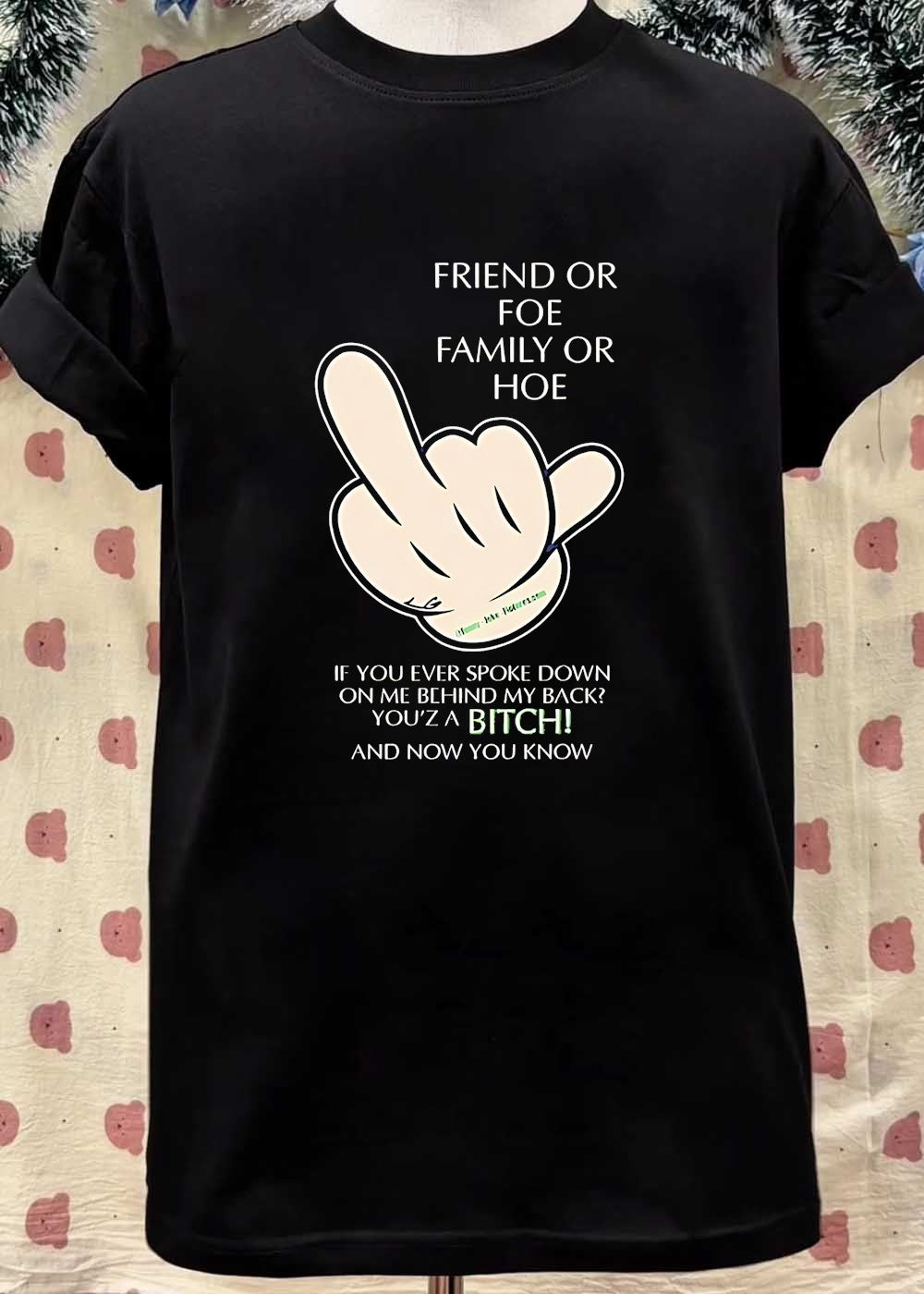 Middle Finger Hand Sign Quote T-Shirt Friend or Foe Family or Hoe You Are a Bitch and Now You Know