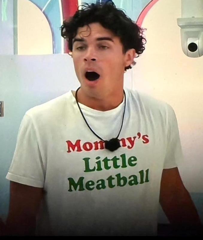 Mommy's Little Meatball Shirt, Italian Shirt, Ironic, New York City, Little Italy, I Love NY, Canal Street Shirt, Funny...