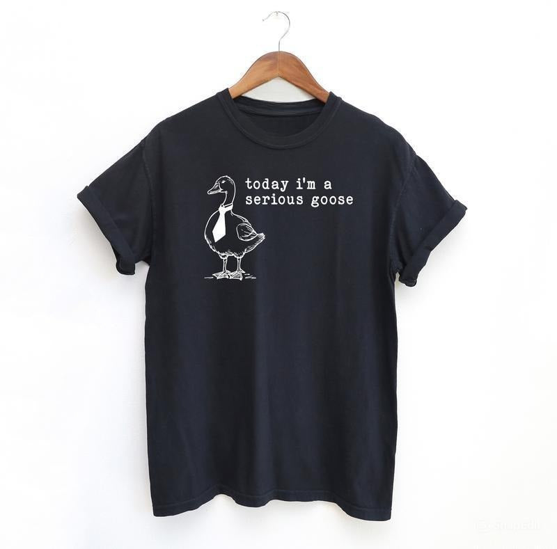 Serious Goose Funny Shirt, Meme Shirt, Menswear T-Shirt Hoodie, Sweatshirt | UrbanDripWear.com
