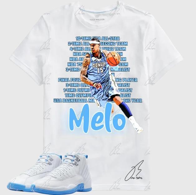 Shirt To Match AJ 12 Melo- Blue, Graphic Tee,Best Gift,Birthday,Sneaker Match,Mens Shirt Hoodie, Sweatshirt