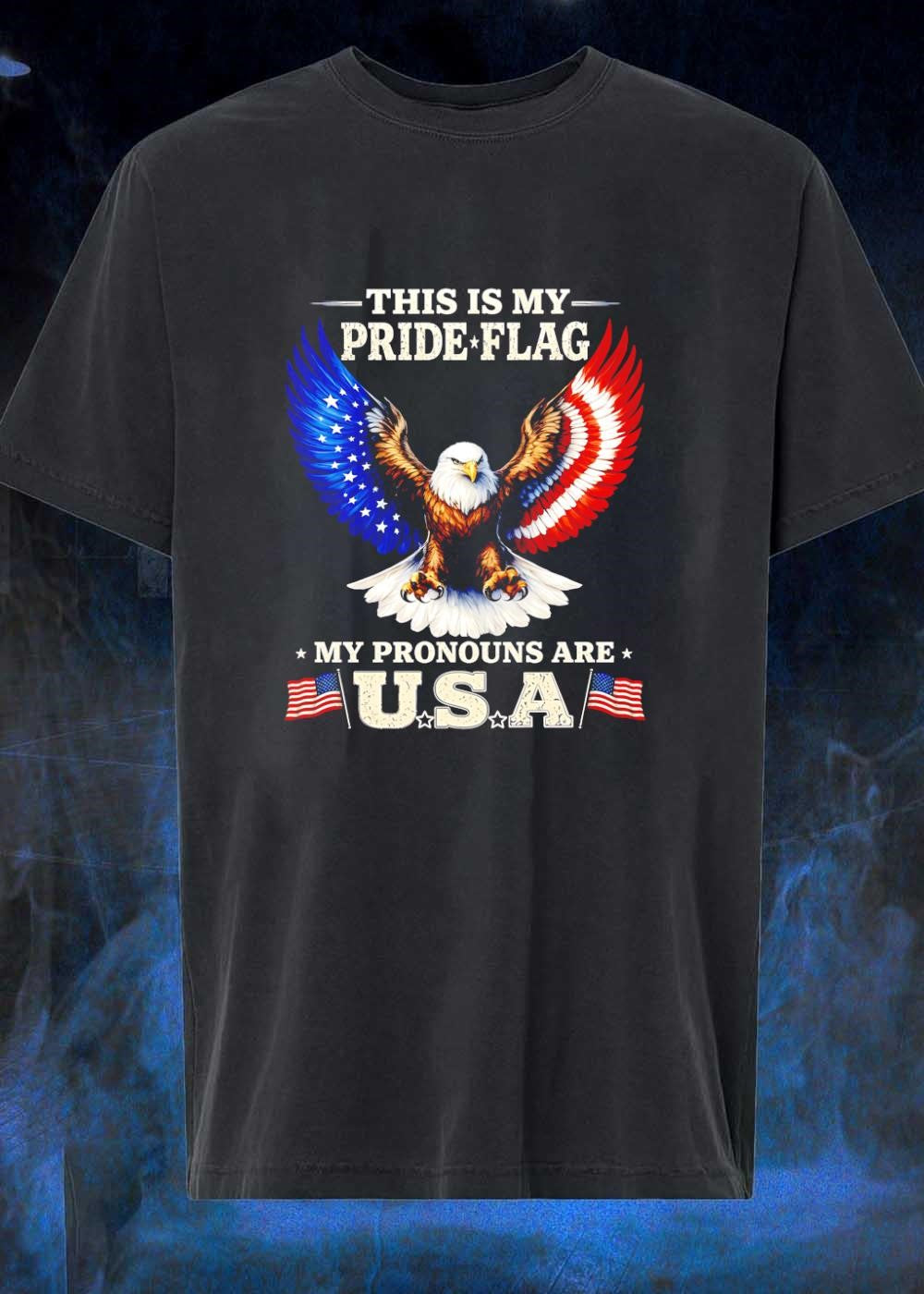 This Is My Pride Flag My Pronouns Are USA Eagle Shirt