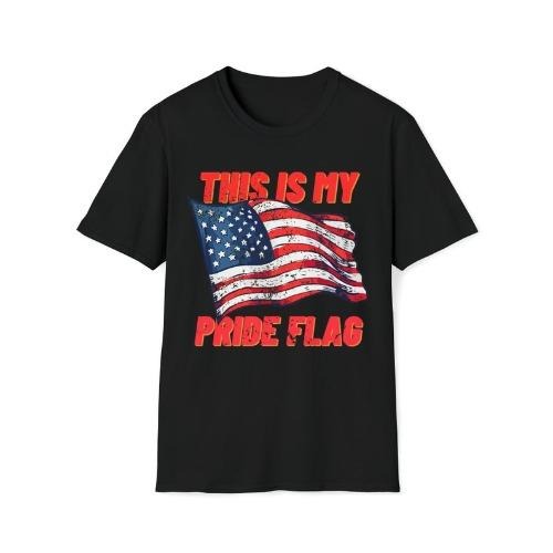 This Is My Pride Flag T-shirt USA US United States of America American made in usa Hoodie, Sweatshirt | UrbanDripWear.com