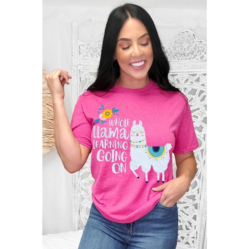 Whole Llama Learning Teacher T-Shirt Hoodie, Sweatshirt | UrbanDripWear.com