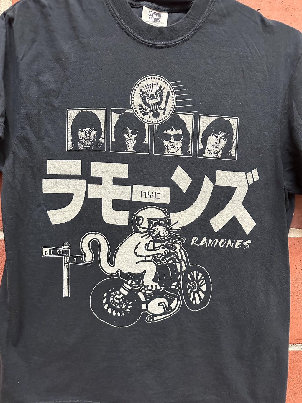 Ram Nes Fan Art Unisex T-shirt, Sweatshirt, Hoodie (2)