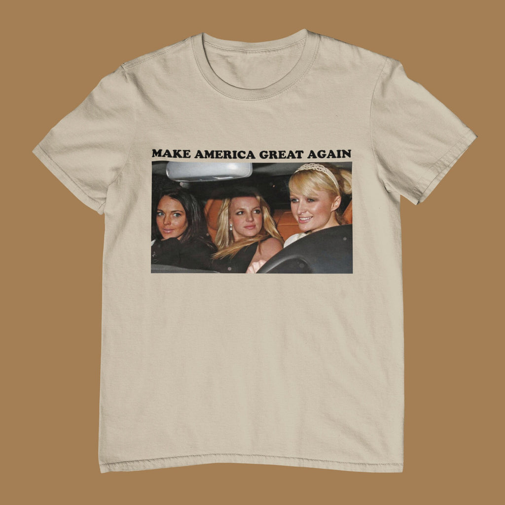 Make America Again Multiple Colors Y2k Pop Culture Unisex T-shirt, Sweatshirt, Hoodie (4)