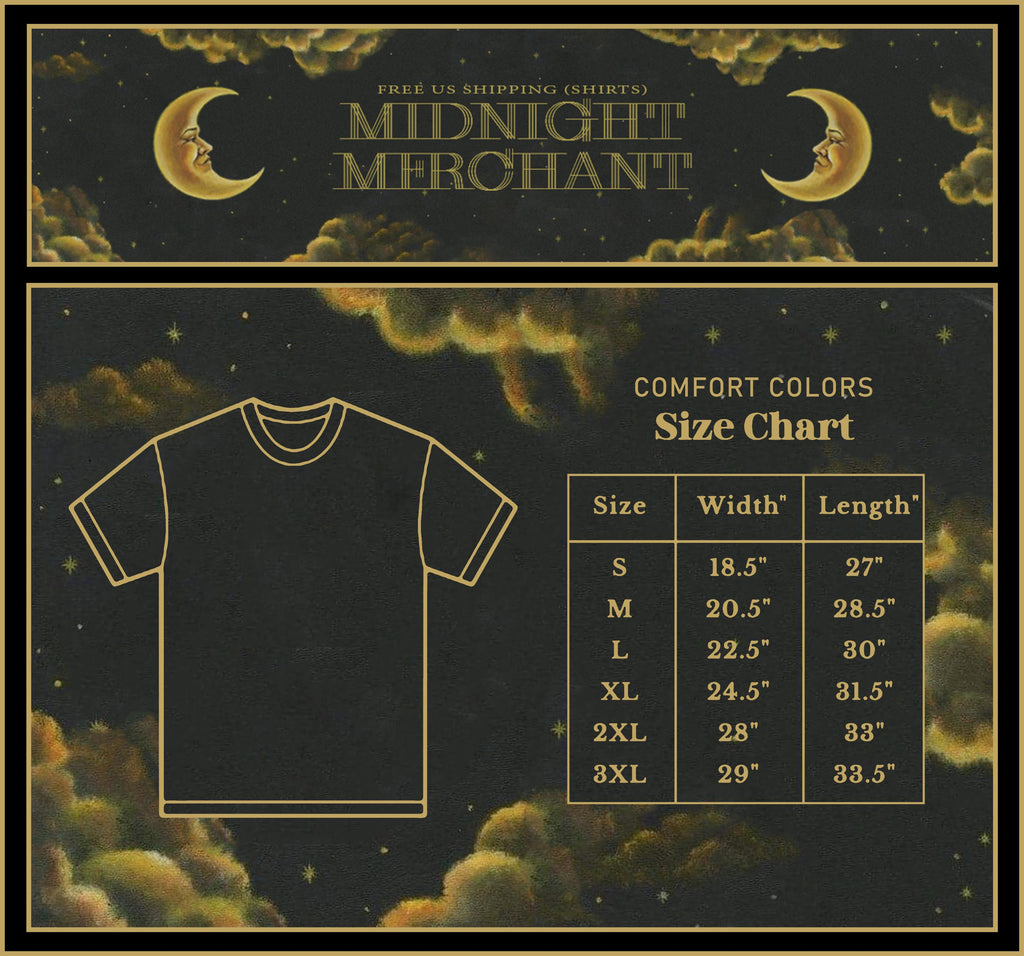 Title Fight Comfort Colors Ceiling Fan Shoegaze Band Tees Gothic Grunge Indie Band Tees (3)