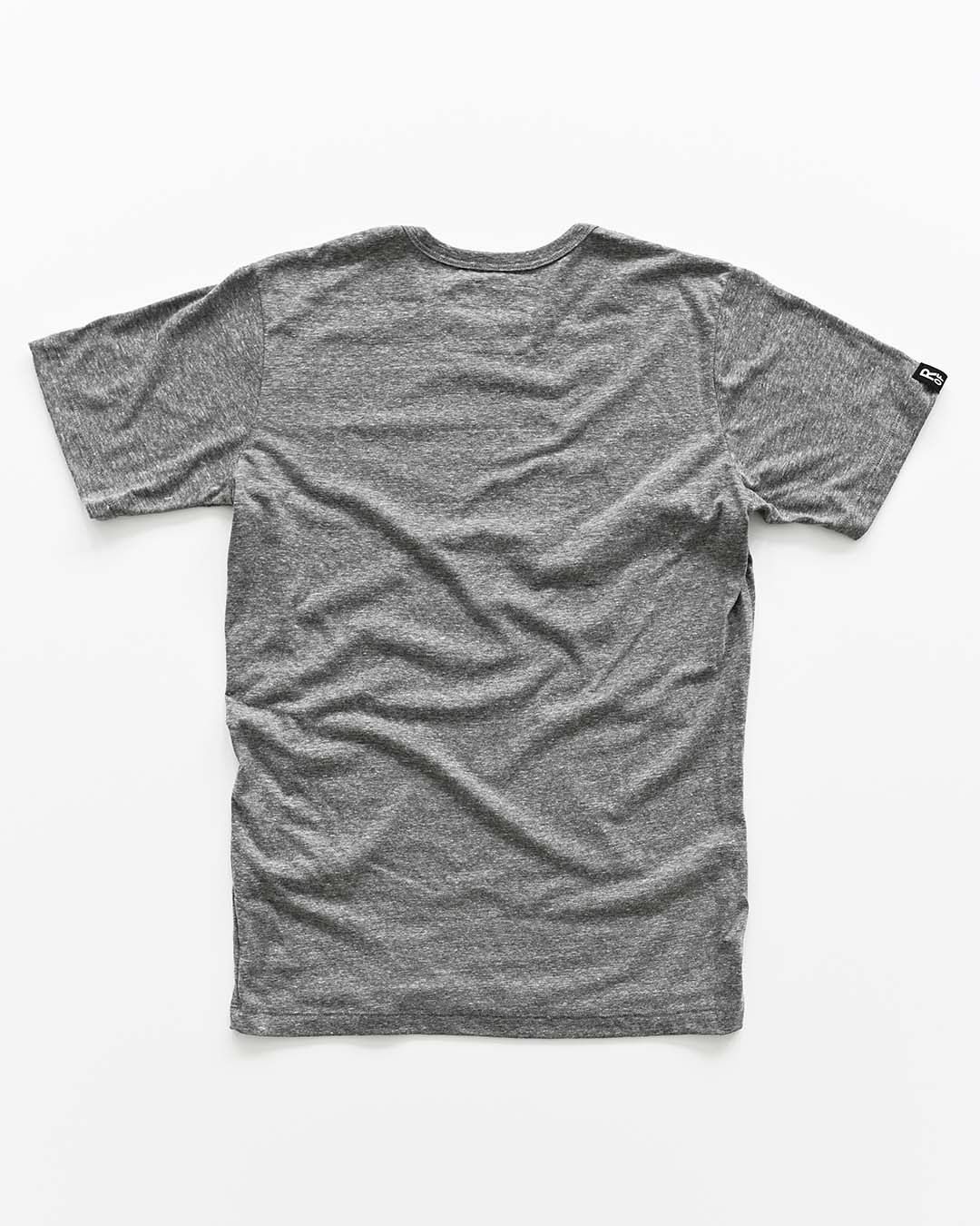 Elvis Stance Photo Grey Triblend Tee