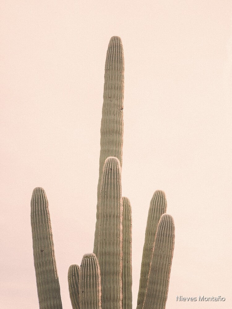 Cielito de abril by Nieves Montaño