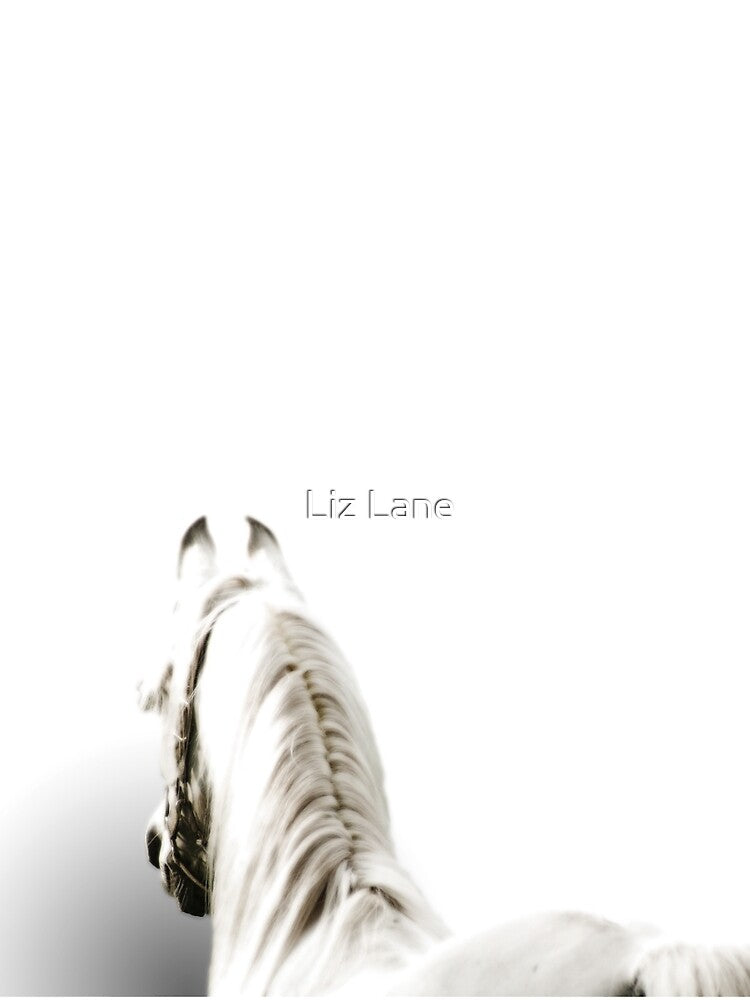White Arabian Horse by Liz Lane