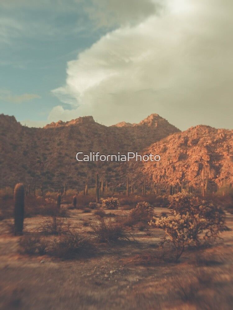 Arizona Desert by Cali West