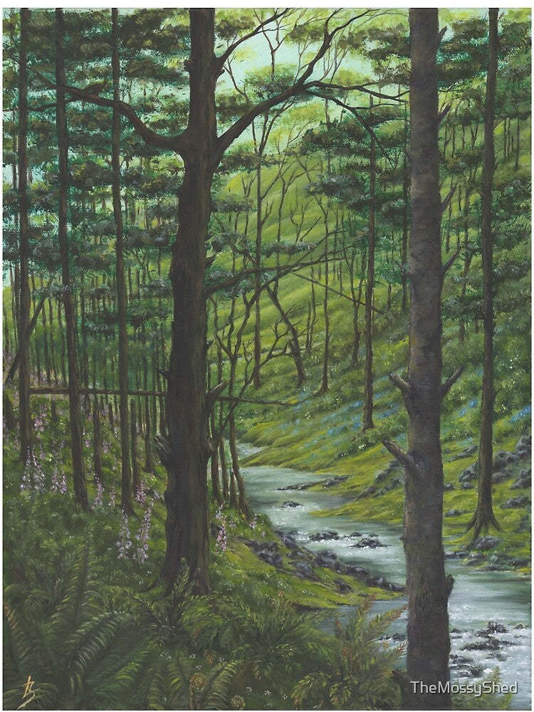 The Welsh Wood Waterfall Wanderings by TheMossyShed