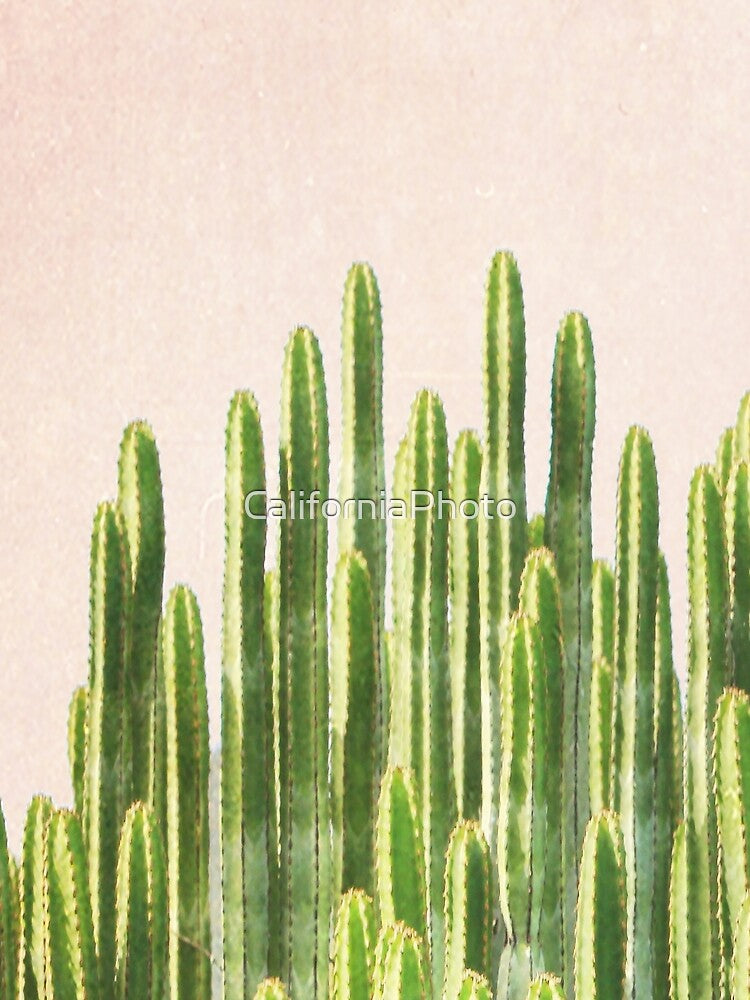 Pink Cactus California Palm Springs by Cali West
