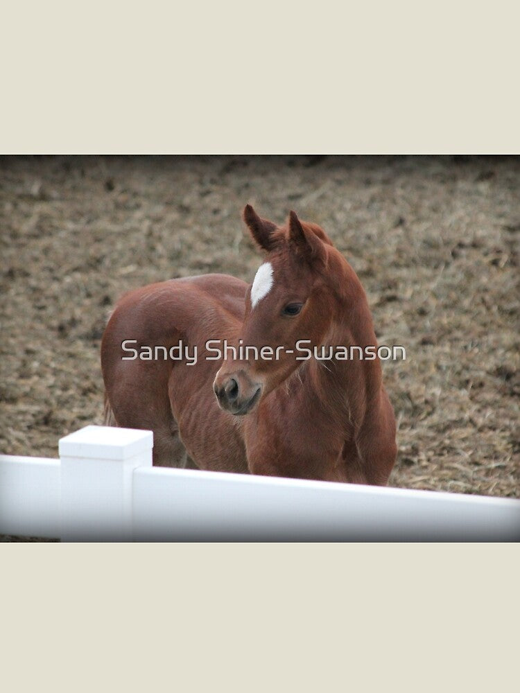 Little Ichabod by Sandy Shiner-Swanson