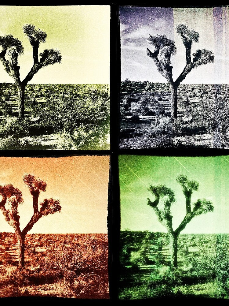 Joshua Tree Quad by Peter B Photography