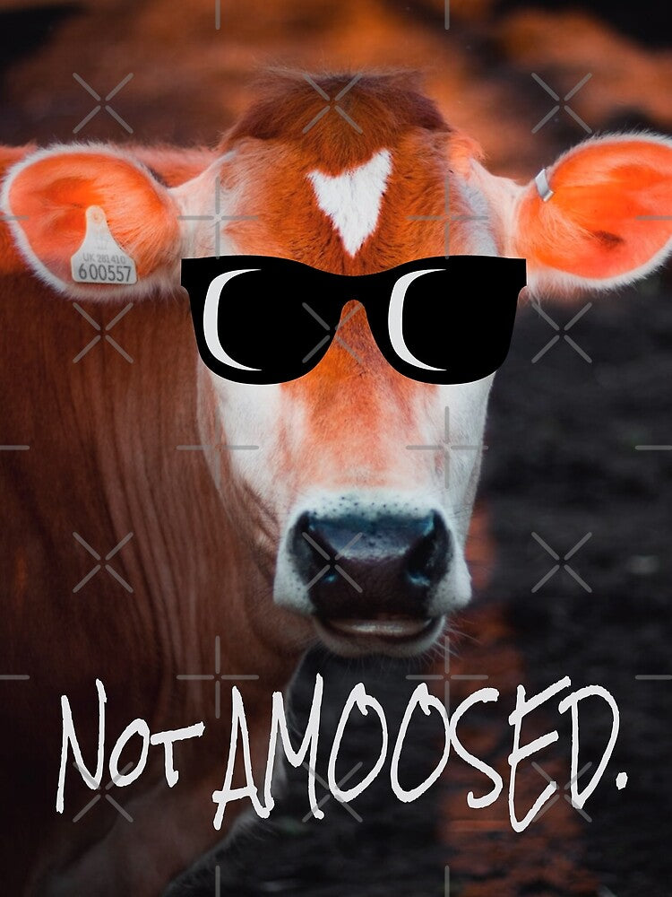 Cow in Sunglasses Not aMOOsed Cute Funny by mwagie