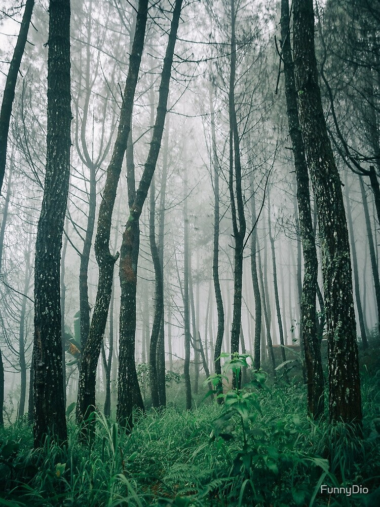 Beautiful Forest Art by FunnyDio