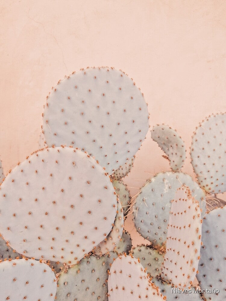 Pink Prickly Pear Cactus, Pink Cactus, Prickly Pear, Soft Pink Cactus by Nieves Montaño