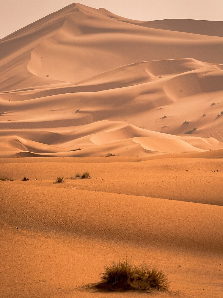 Sahara Desert by Iskanderox